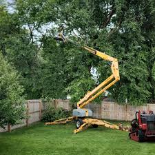 Best Emergency Tree Removal  in Riverview, DE